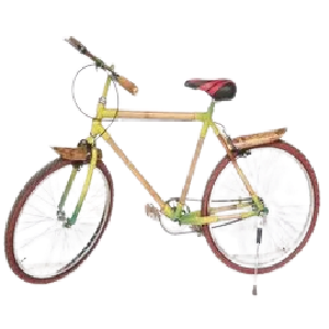 Bamboo Cycle 1